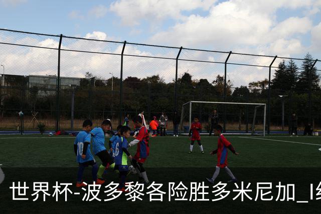 世界杯-波多黎各险胜多米尼加 I组4队均3胜1负