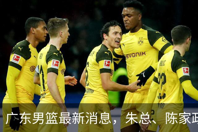 广东男篮最新消息，朱总、陈家政参加品牌方活动 徐杰特训进行时！