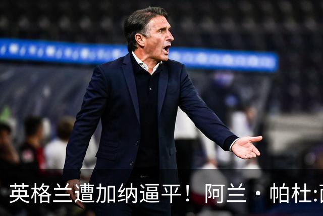 英格兰遭加纳逼平！阿兰·帕杜:面对这种局面 我会很想带上帕尔默